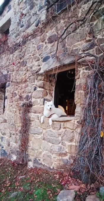 Casa Con Encanto Lagunanegra Y Urbion Vinuesa Dış mekan fotoğraf